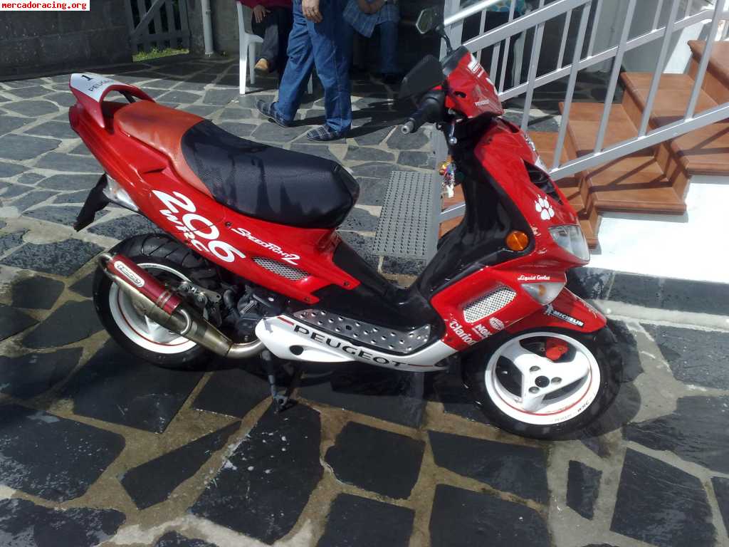Se vende scooter peugeot 206