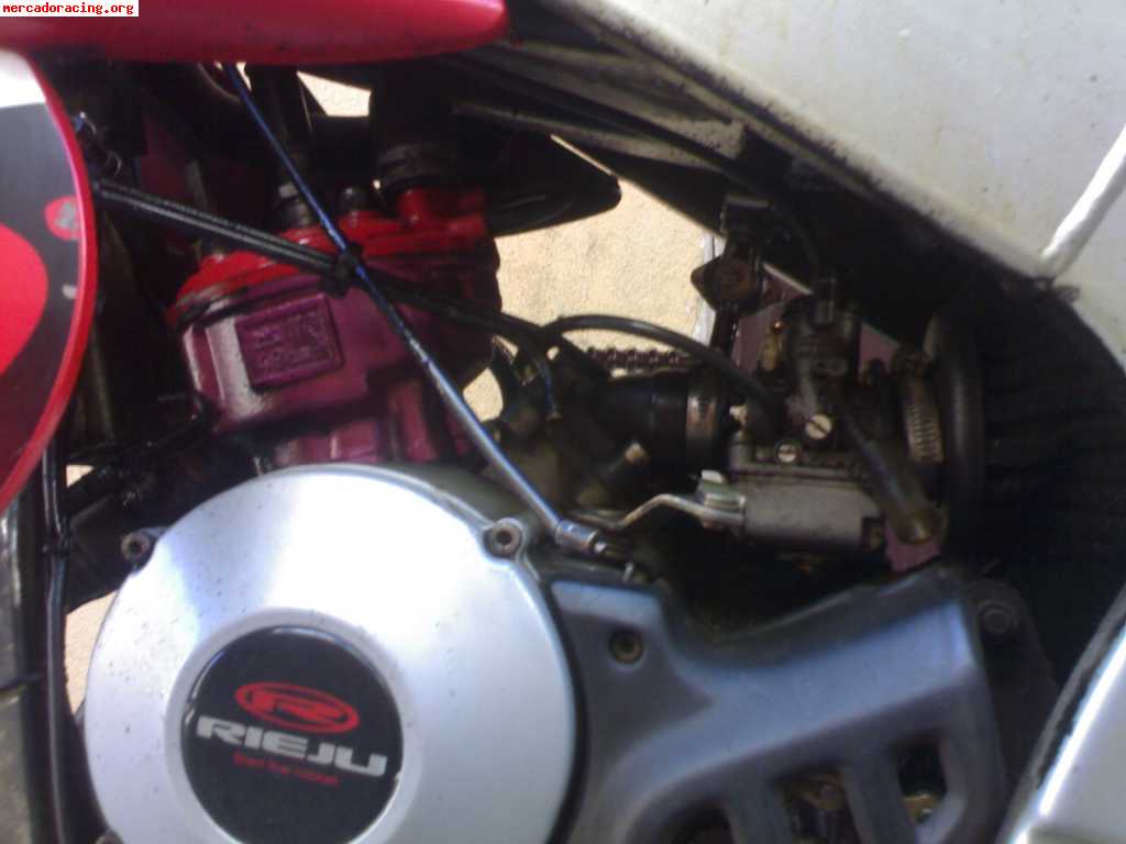 Rieju mrx 49cc 