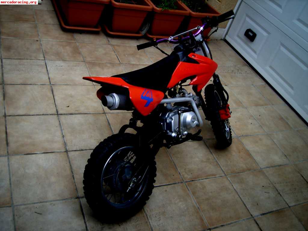 Vendo pit bike 110cc 4t