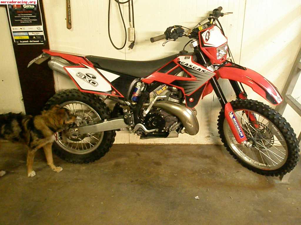 Se vende o se cambia gas gas 250 