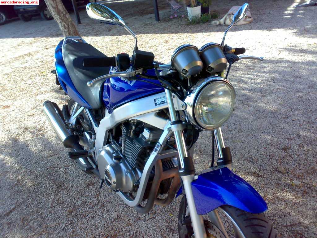 Suzuki gse 500 (limitada en papeles)