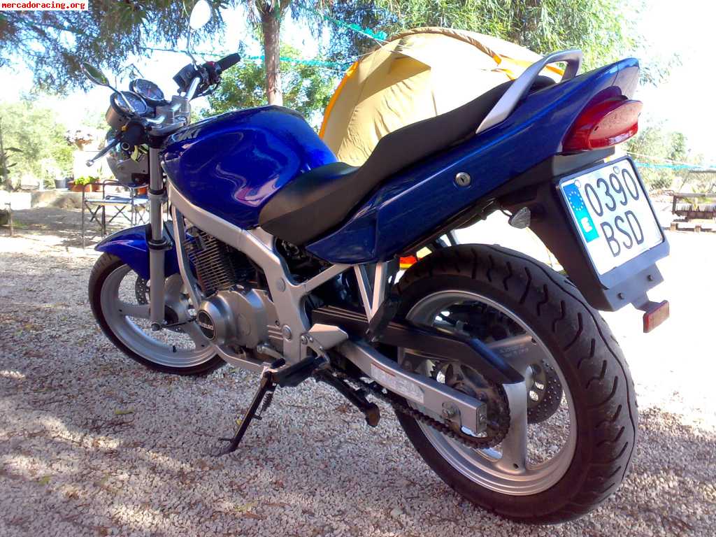 Suzuki gse 500 (limitada en papeles)