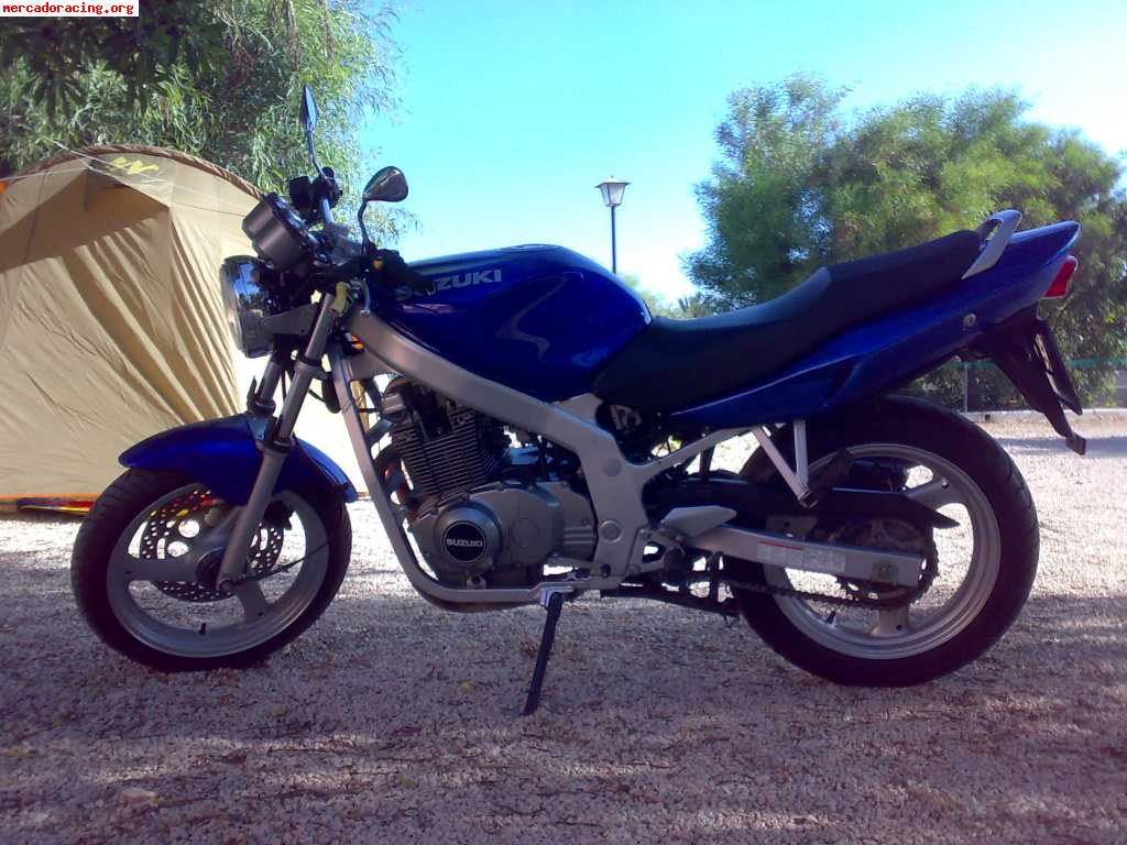 Suzuki gse 500 (limitada en papeles)