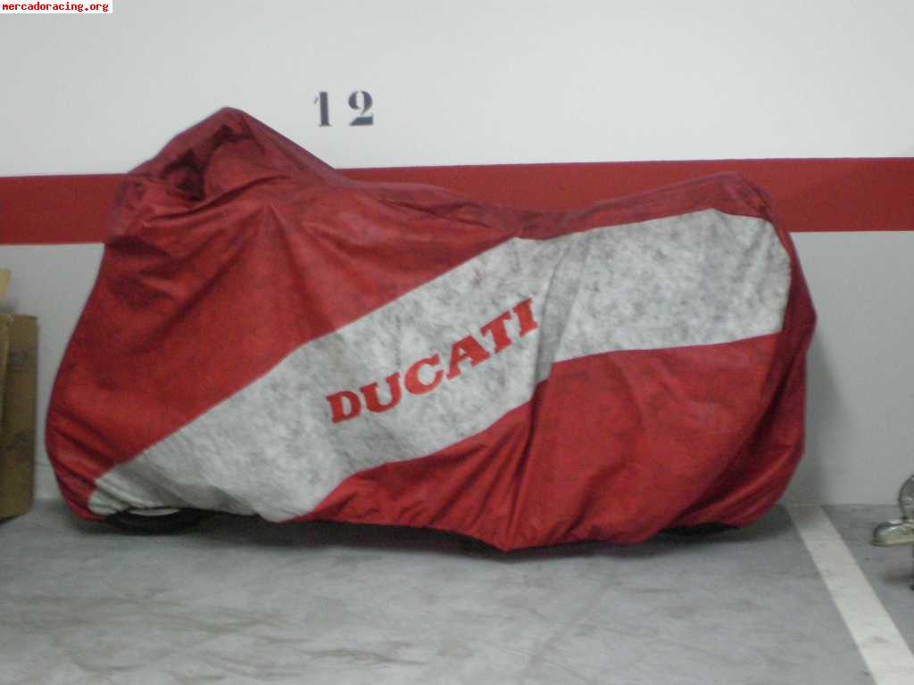 Ducati paso 750 