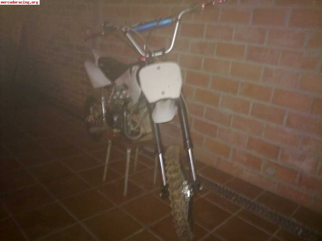 Vendo pitt bike rav 140cc