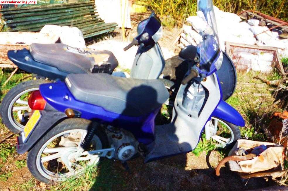 Se venden 2 scoopy