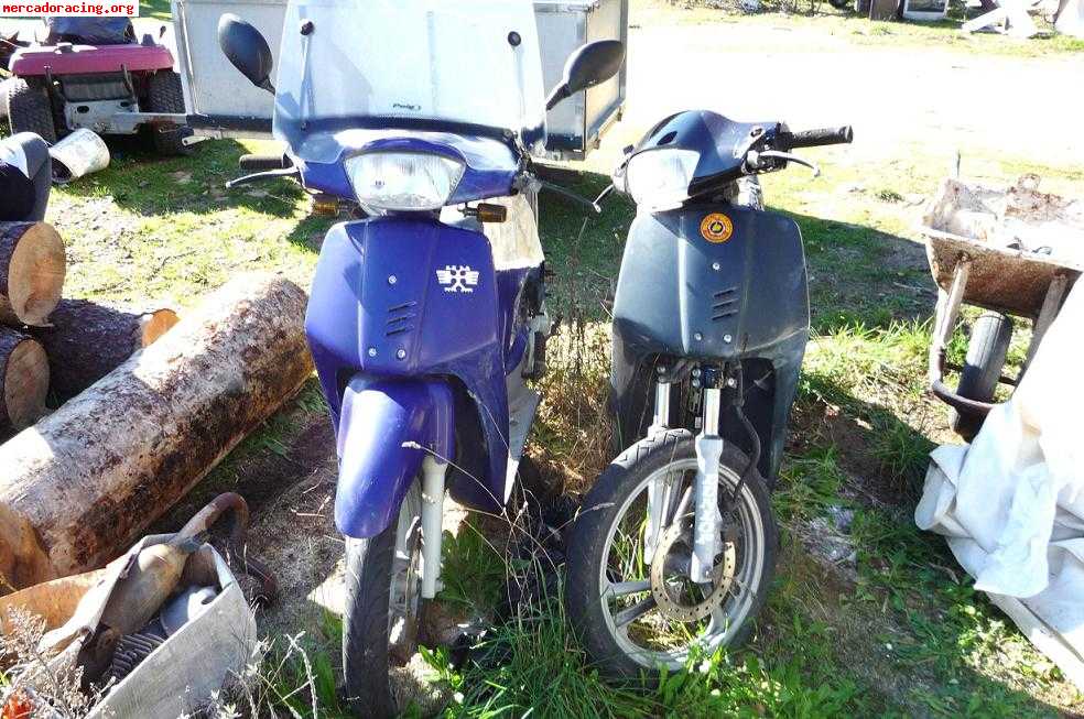 Se venden 2 scoopy