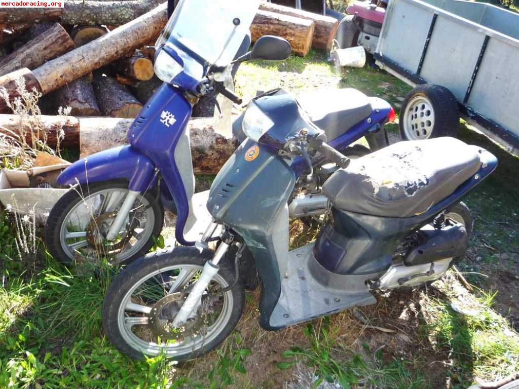 Se venden 2 scoopy