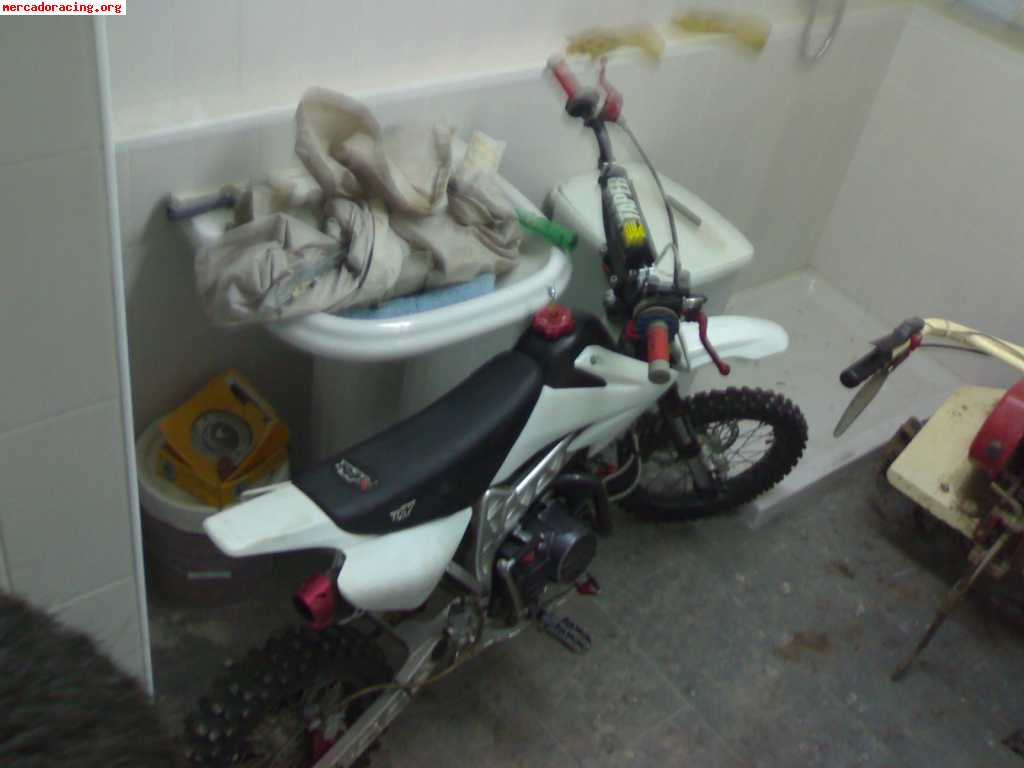 Pitt bike rav 140cc