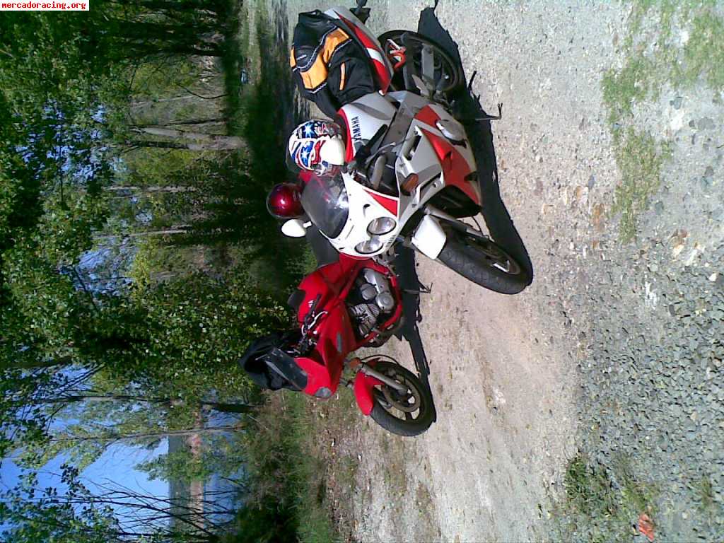 Yamaha fzr y yamaha tdm 850