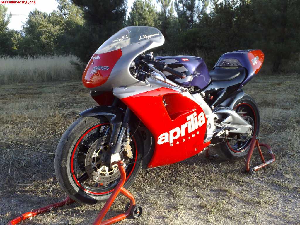 Aprilia rs 250 l . reggiani