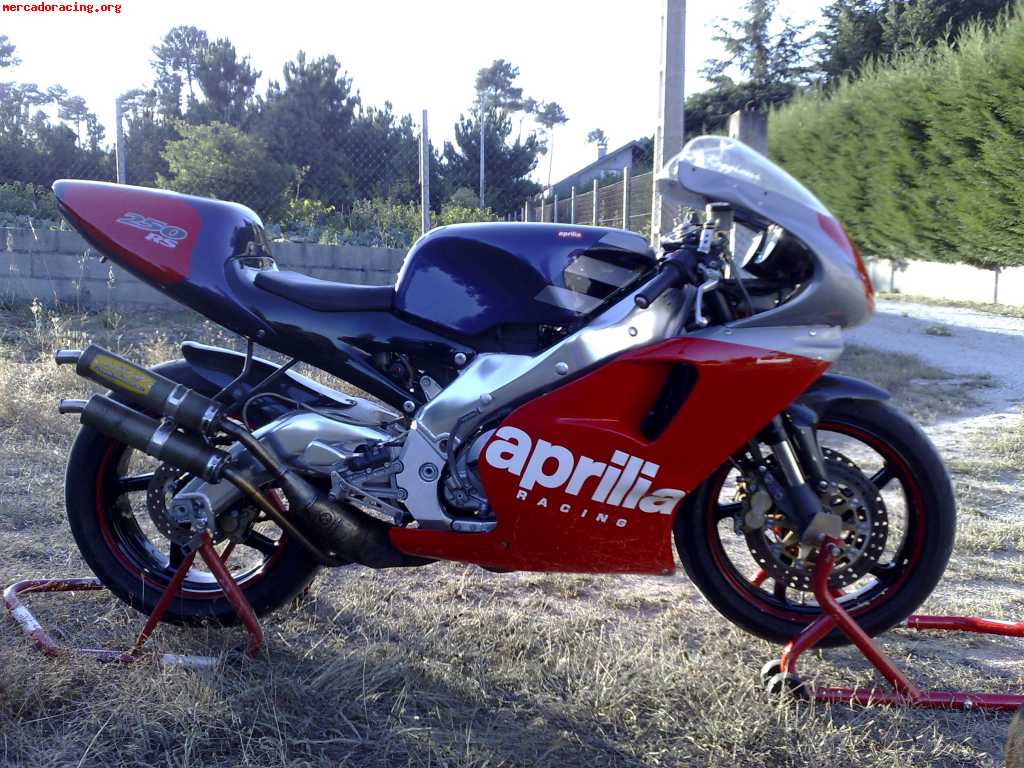 Aprilia rs 250 l . reggiani