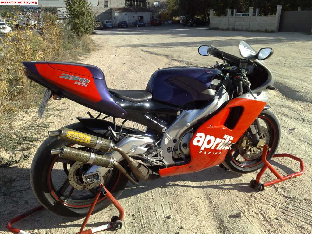 Aprilia rs 250 l . reggiani