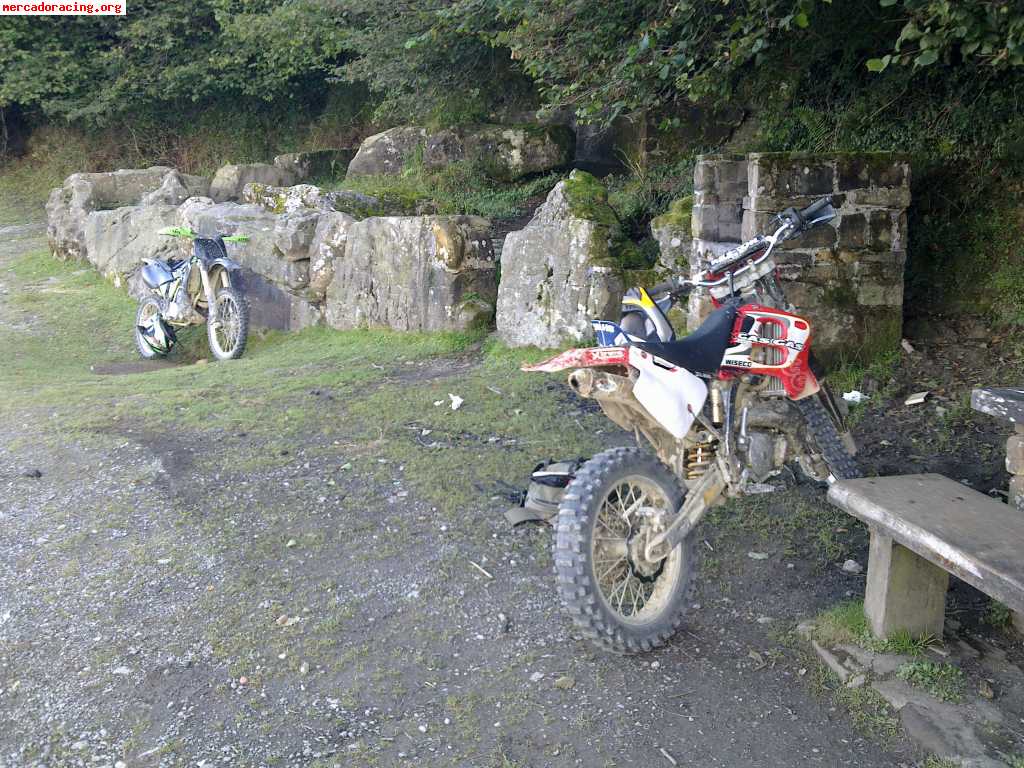 Gas gas 250 ec
