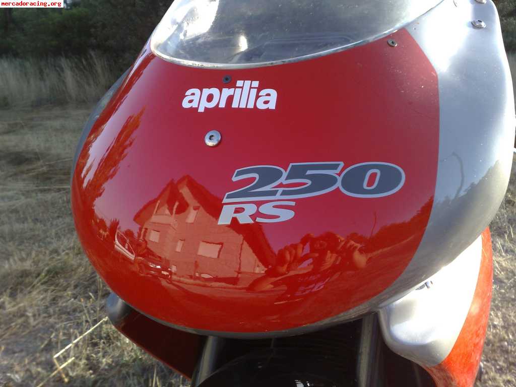 Aprilia rs 250 l.reggiani