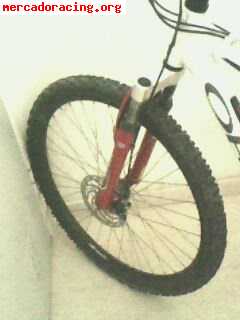 Compro pit bike o moto de cross 