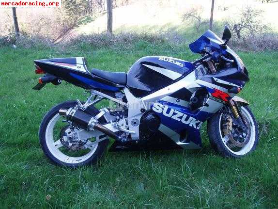 Suzuki gsx r 1000