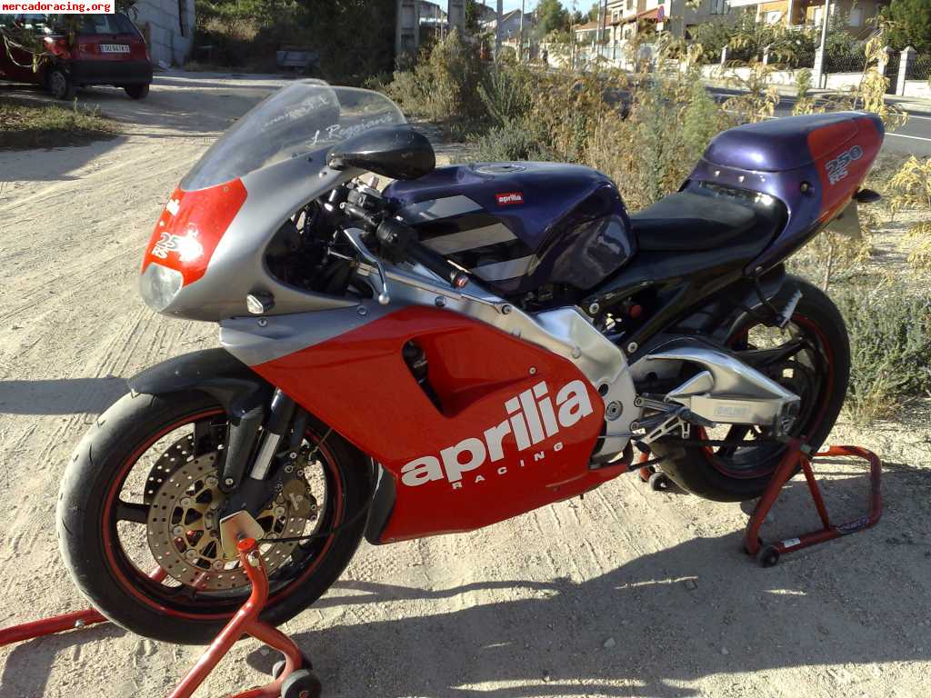 Aprilia rs 250 l.reggiani