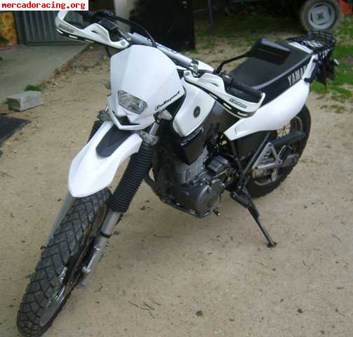 Xt 600