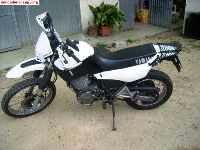 Xt 600