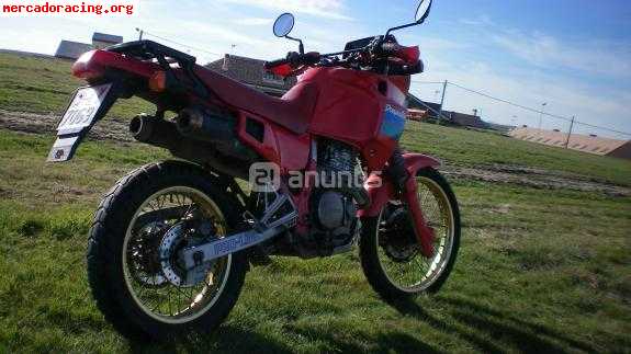 Honda dominator 650-91 (1200euros)