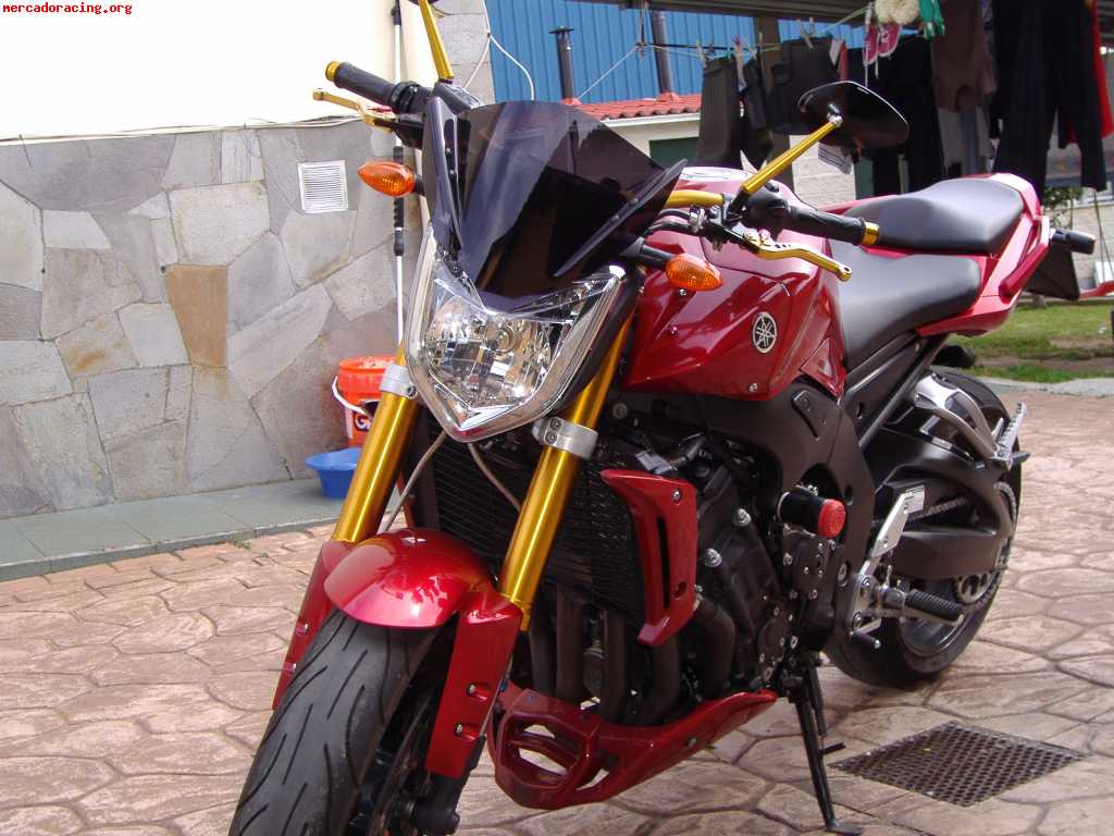 Yamaha fz1 naked