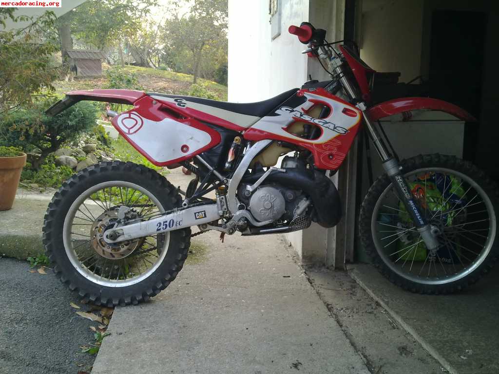 Gas gas 250 ec