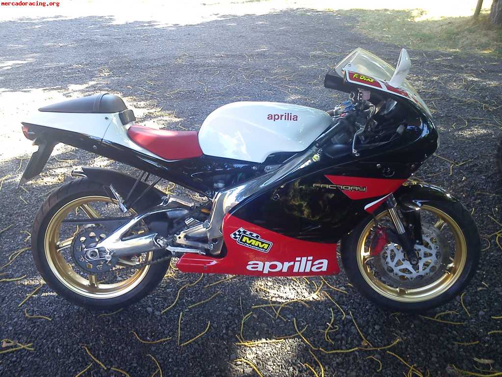 Aprilia rs 125  factory