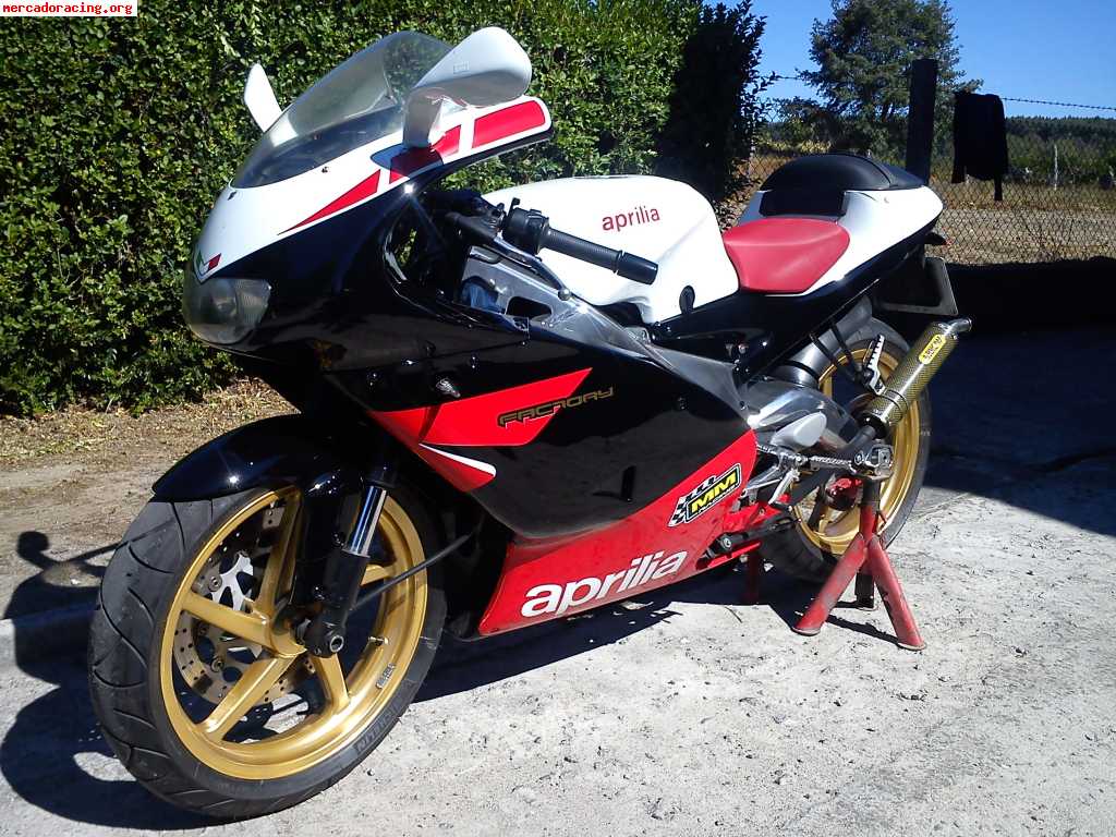 Aprilia rs 125  factory