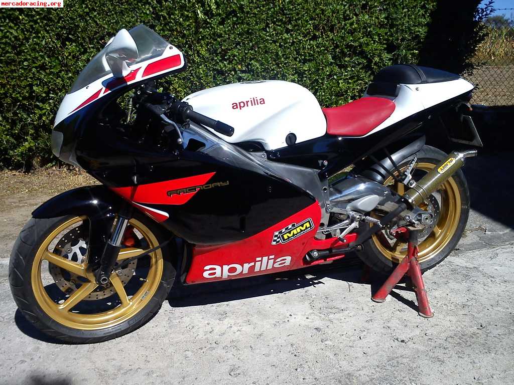 Aprilia rs 125  factory