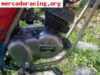 Se vende ducati senda tt