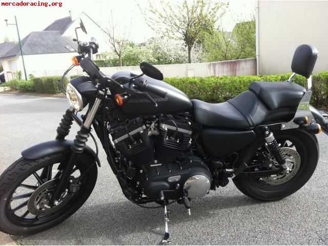 2010  harley davidson sportster 883 iron  5500 euro