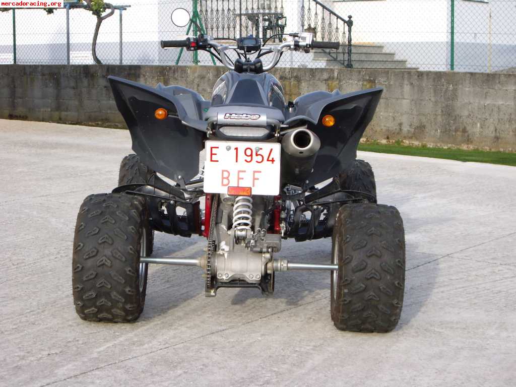 Yamaha yfm 700