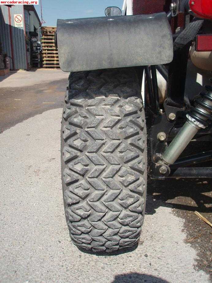 Azel 1100 cc