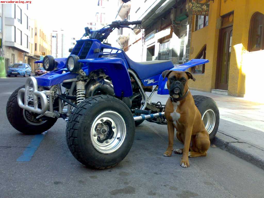 Cambio quad por coche