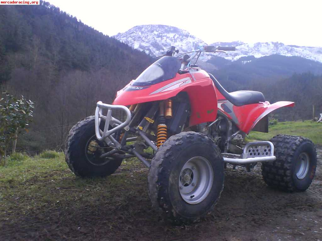 Se vende quad gas gas wild 250 2t