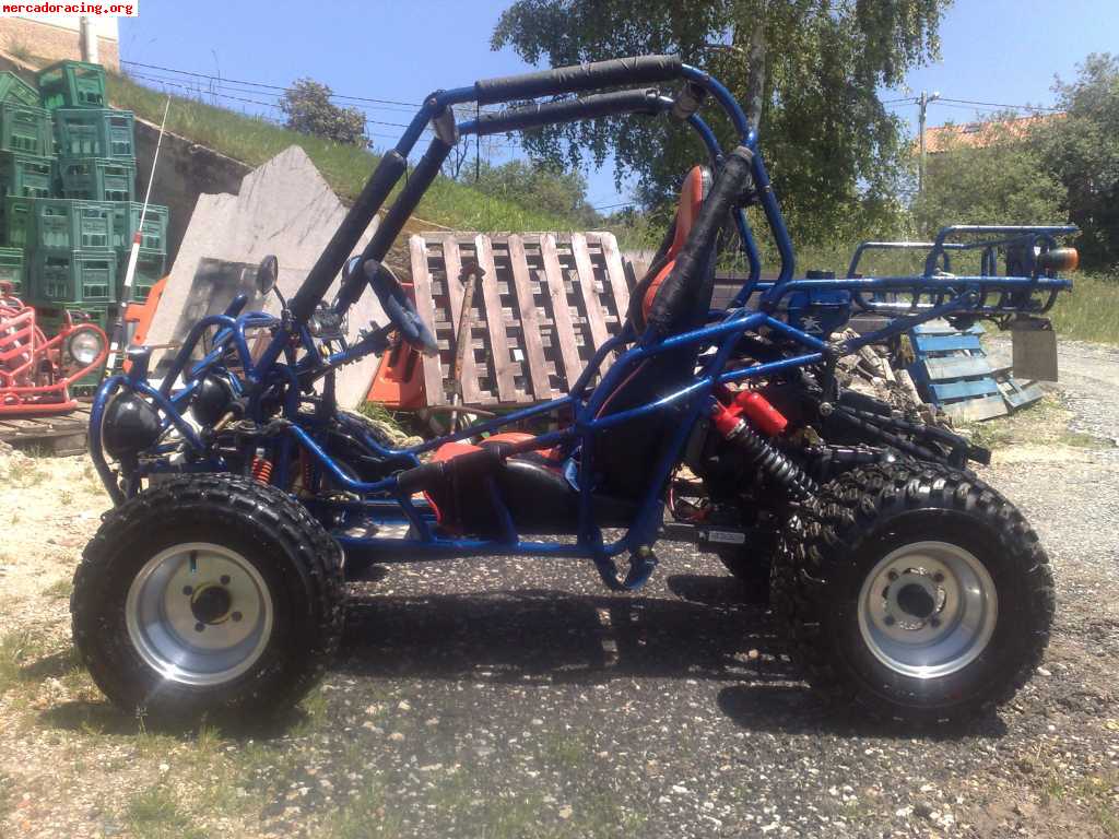 Se vende buggy muchos estras regalado