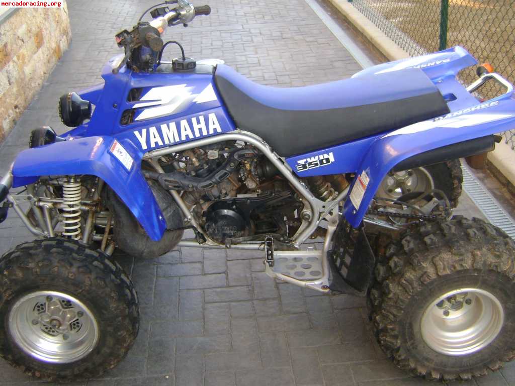 Se vende o cambia por coche rallys banshee 350