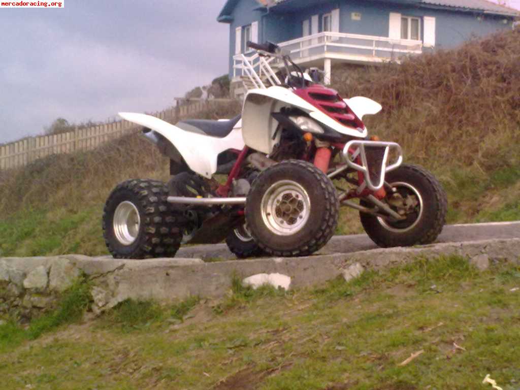 Se vende o cambia raptor 660