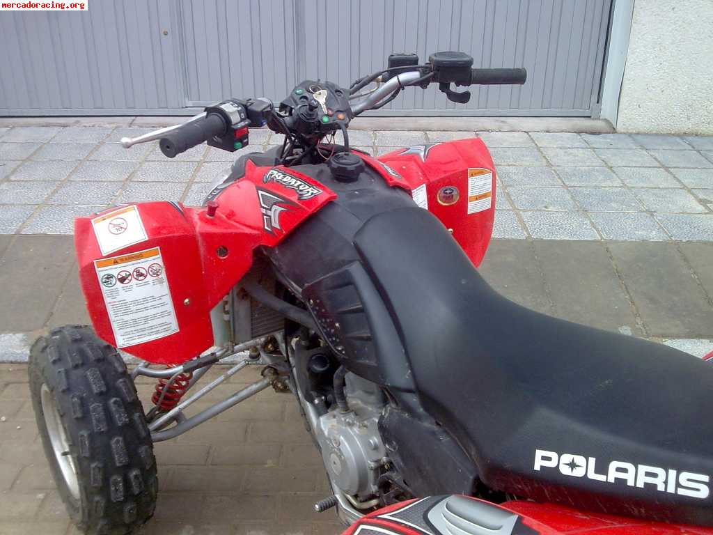 Se vende o se cambia polaris predator