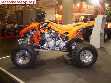 Quad goes 450 2000km 4000€ homologado para 2 personas,apto p