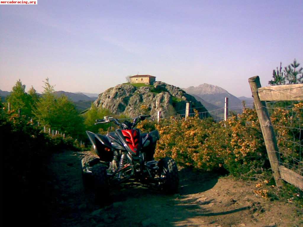 Yamaha raptor 350