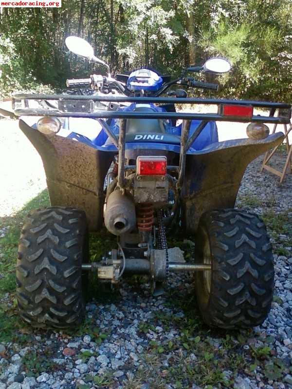 Se vende quad marca dinli 150cc.