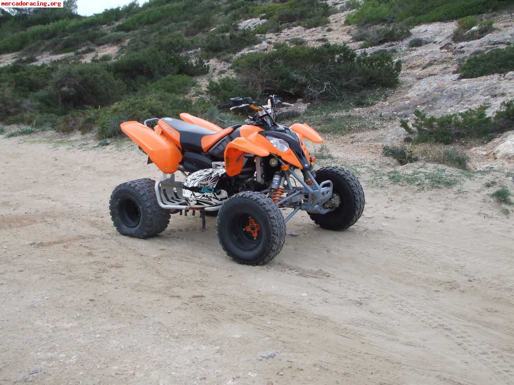 Vendo polaris