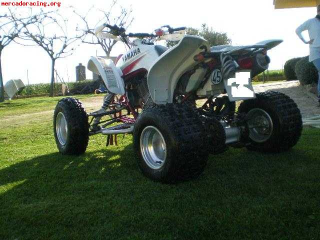 Quad raptor