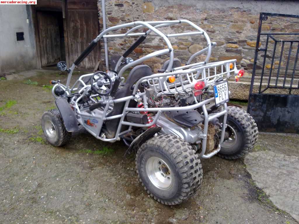 Se vende buggy