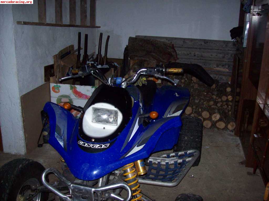 Gas gas hp wild 300