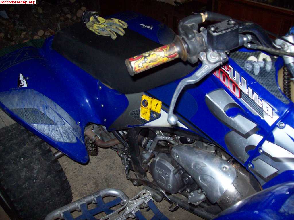 Gas gas hp wild 300