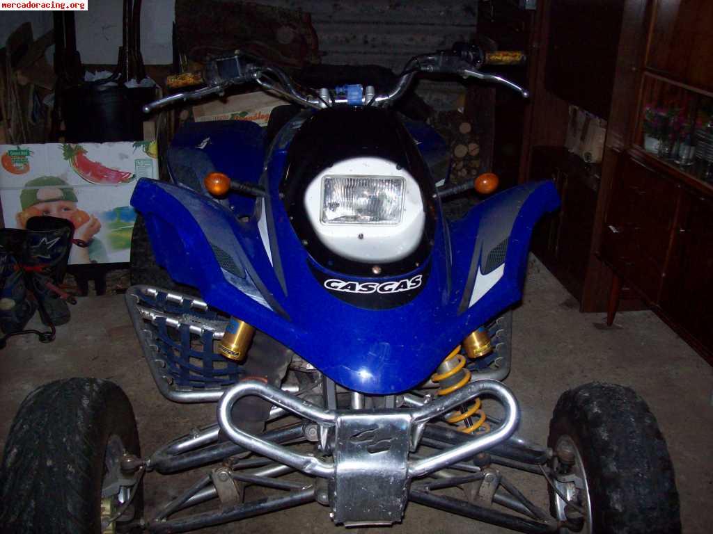 Gas gas hp wild 300