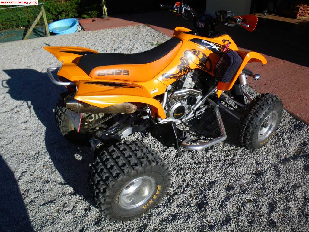 Se vende quad goes 450x